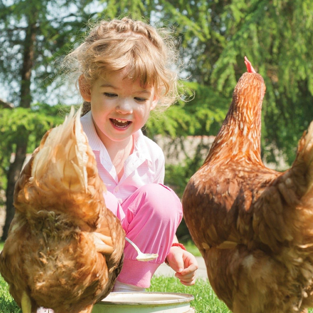 un dia en familia granja