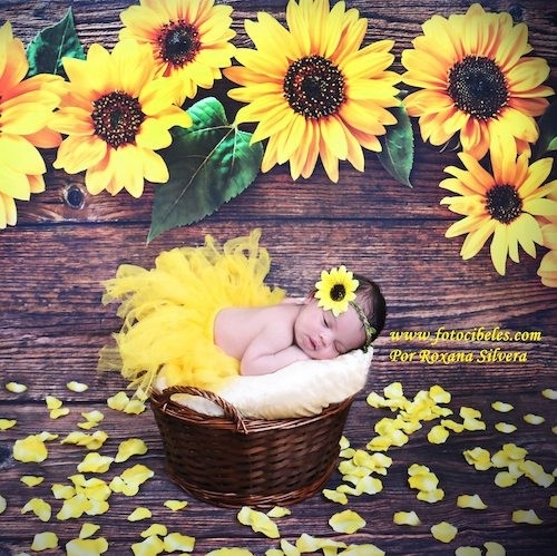 fotografía artística